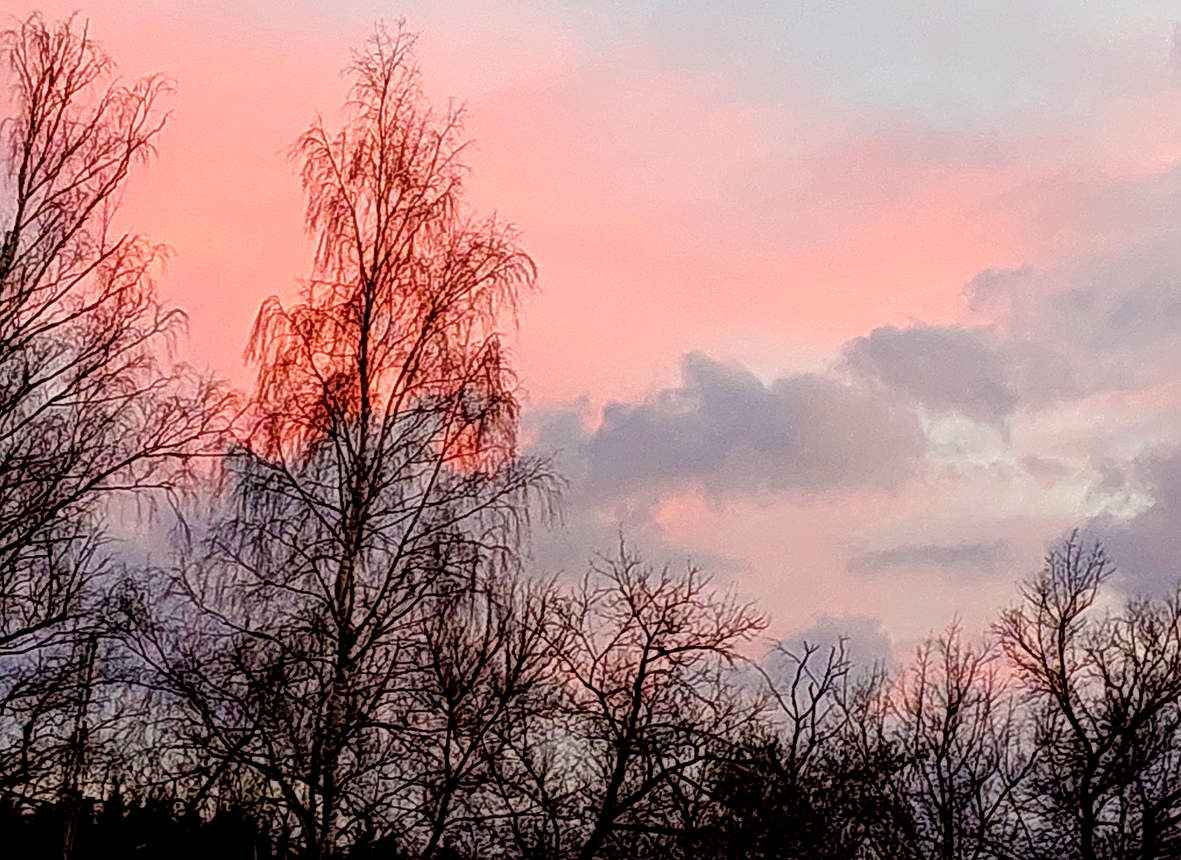 Мартовский закат