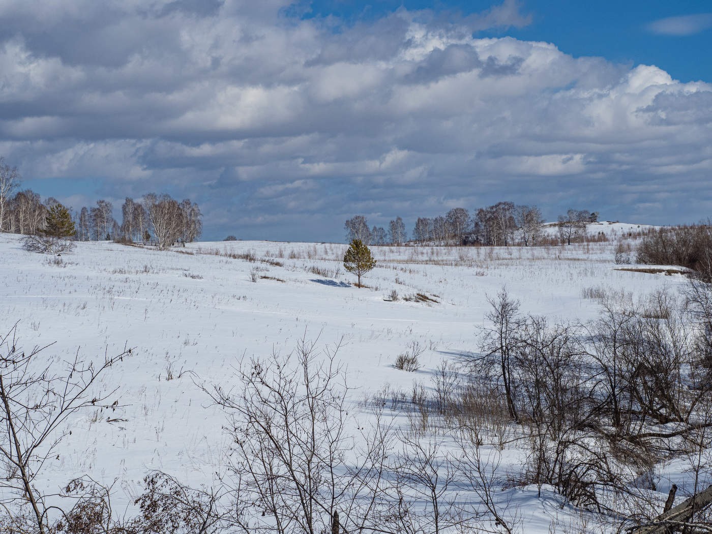 На семи ветрах