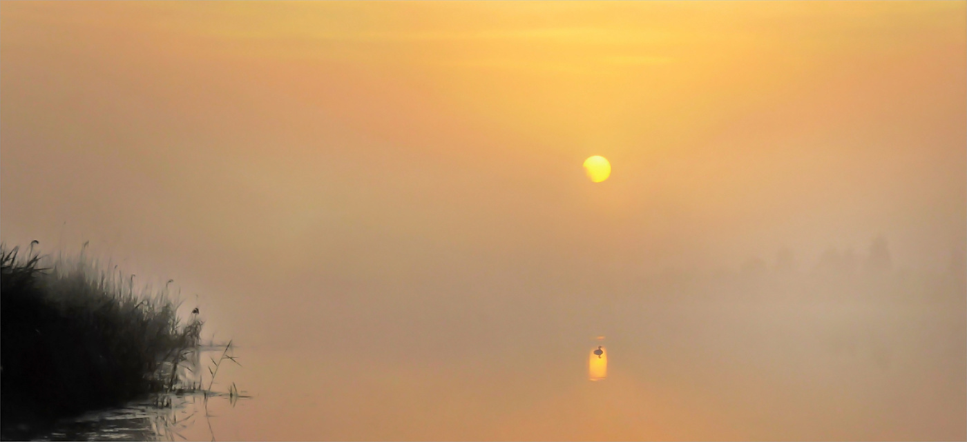 В невесомости утра