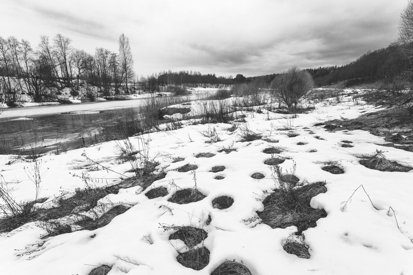 Жизнь вокруг