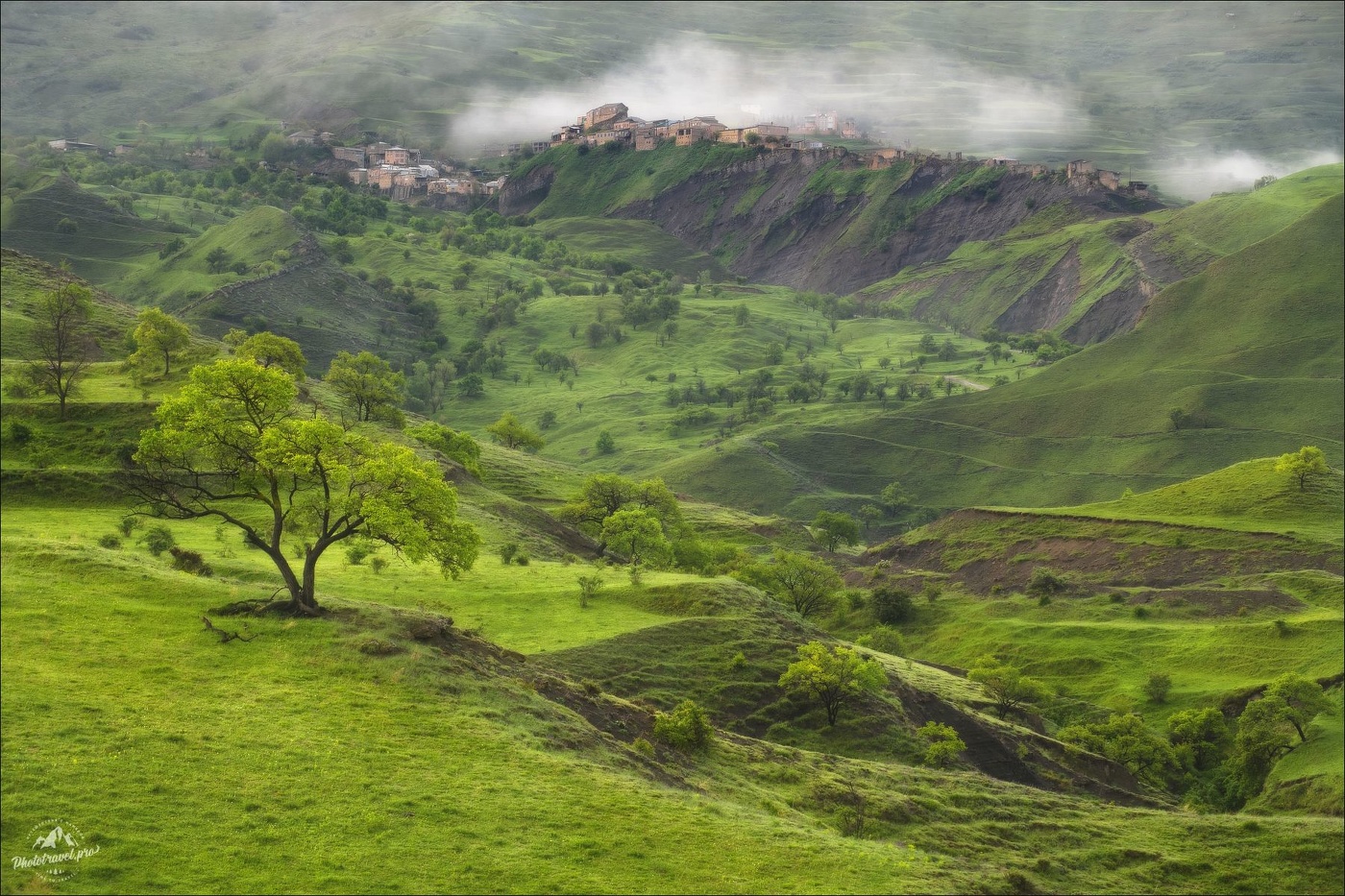 Утренний Чох