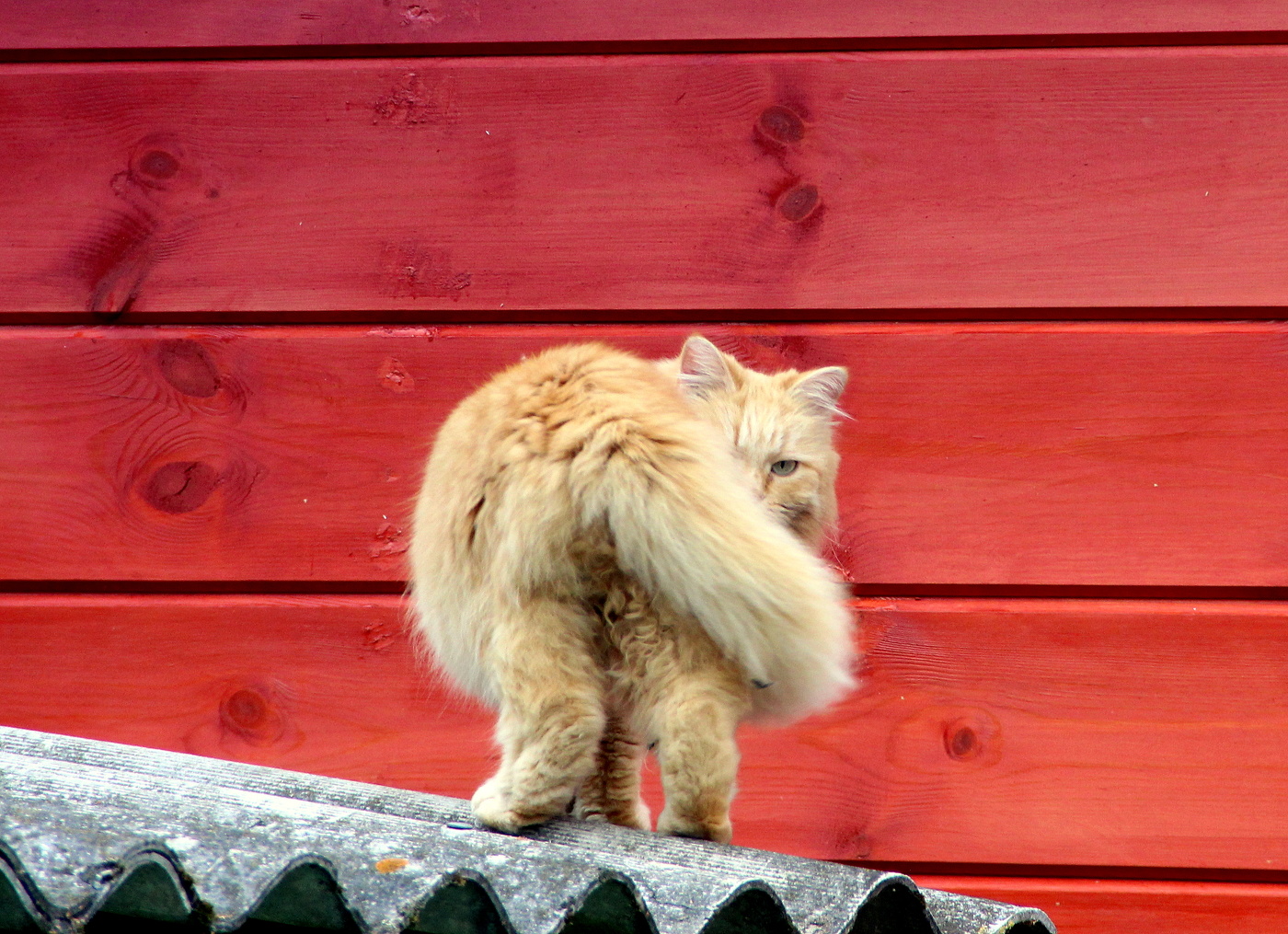 Необычный ракурс