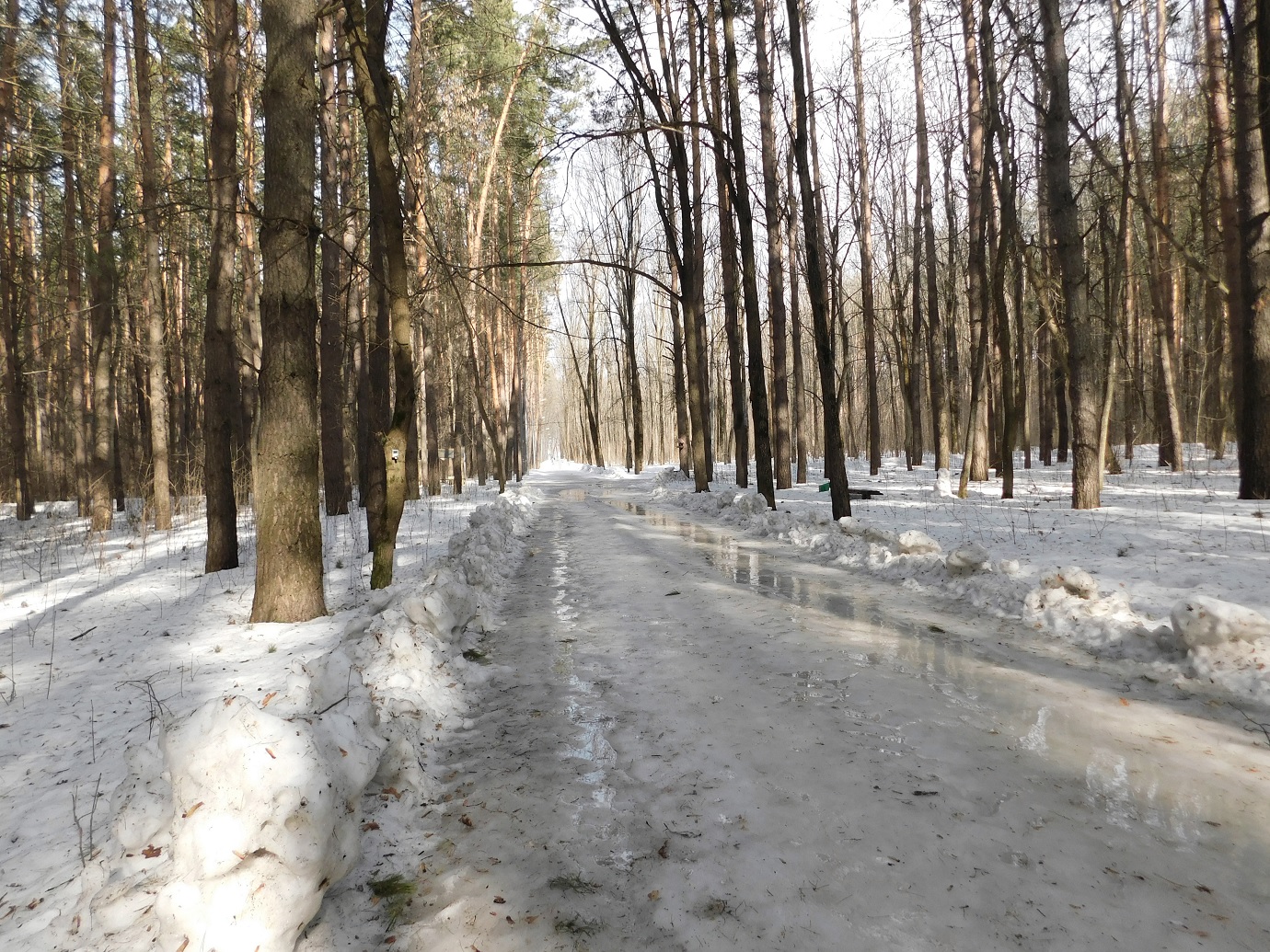 Дороги весны