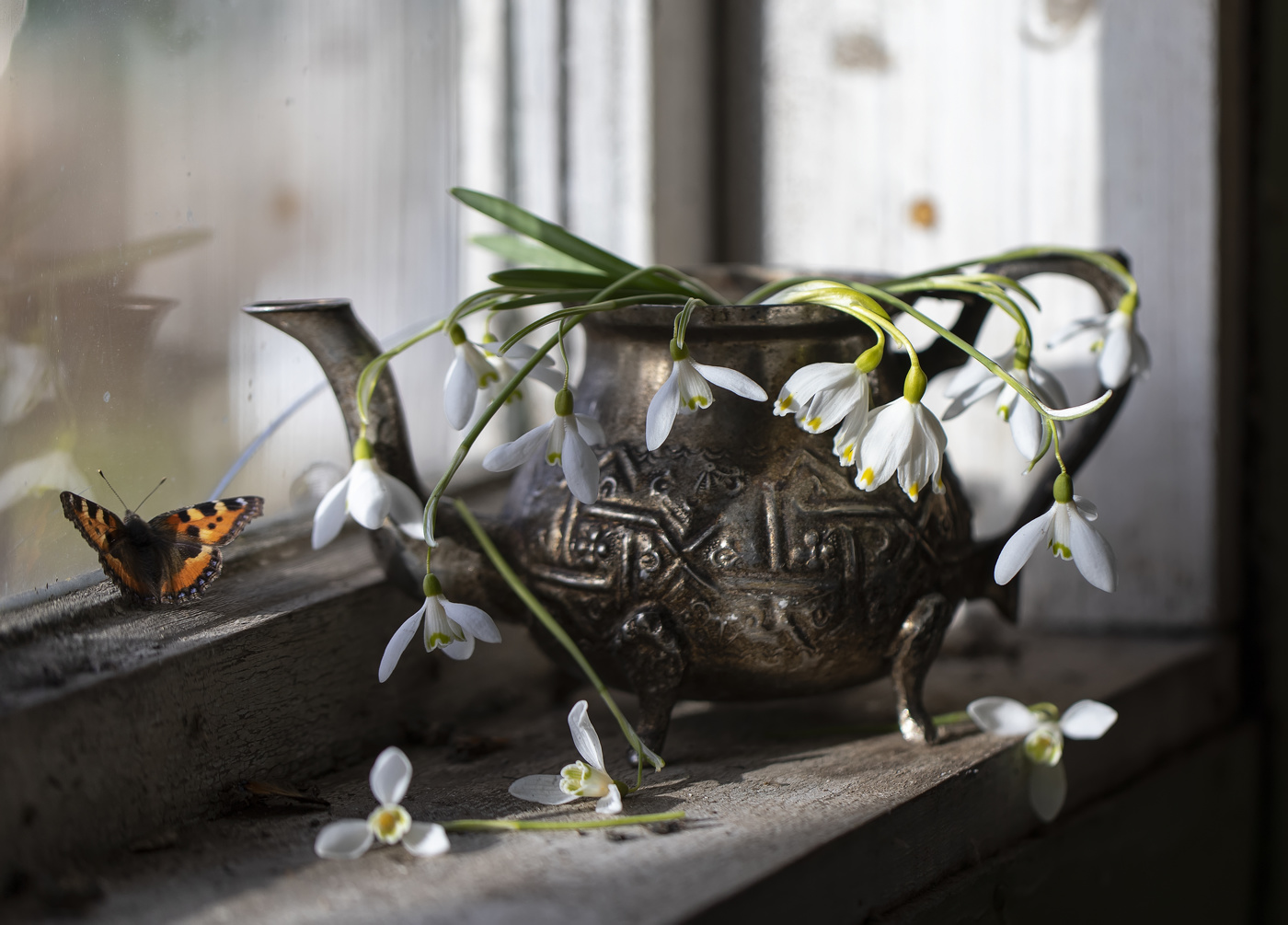 Самые первые...