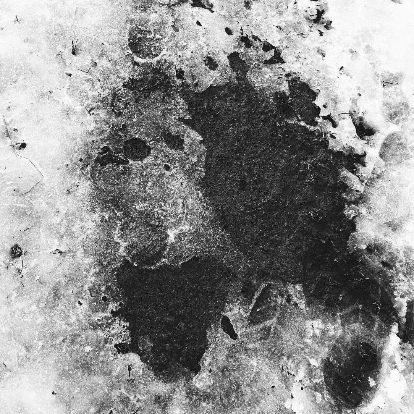 Жизнь вокруг