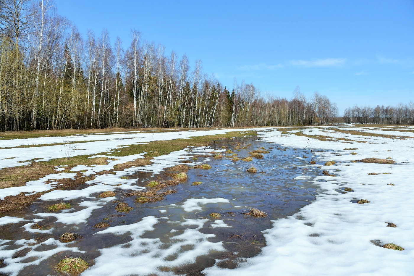 Зима уходит ...