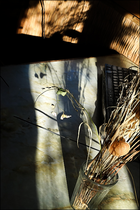 | флешмоб на тему «Необычный ракурс». (№ 9)