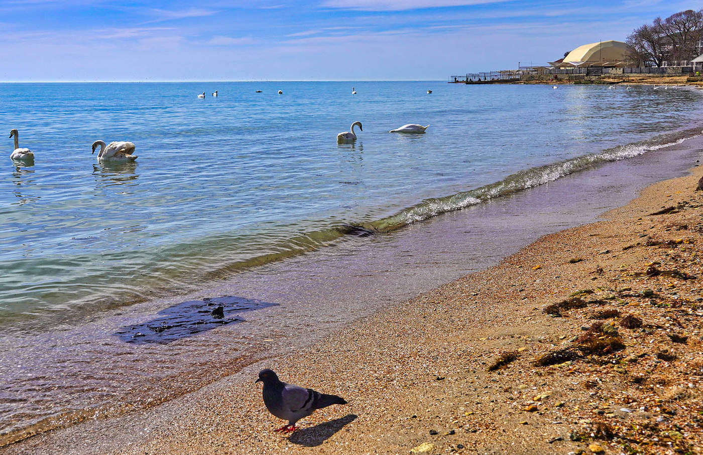 Евпатория. Пляж