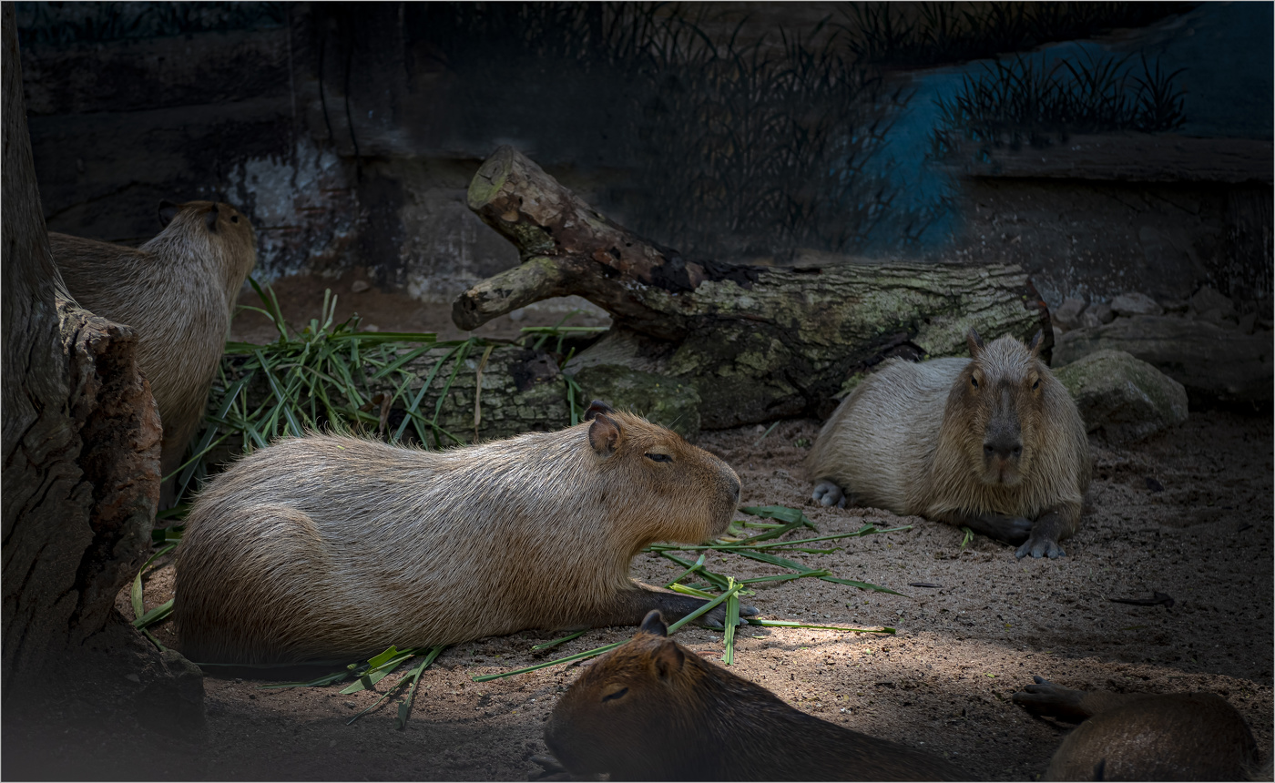 В семейном кругу