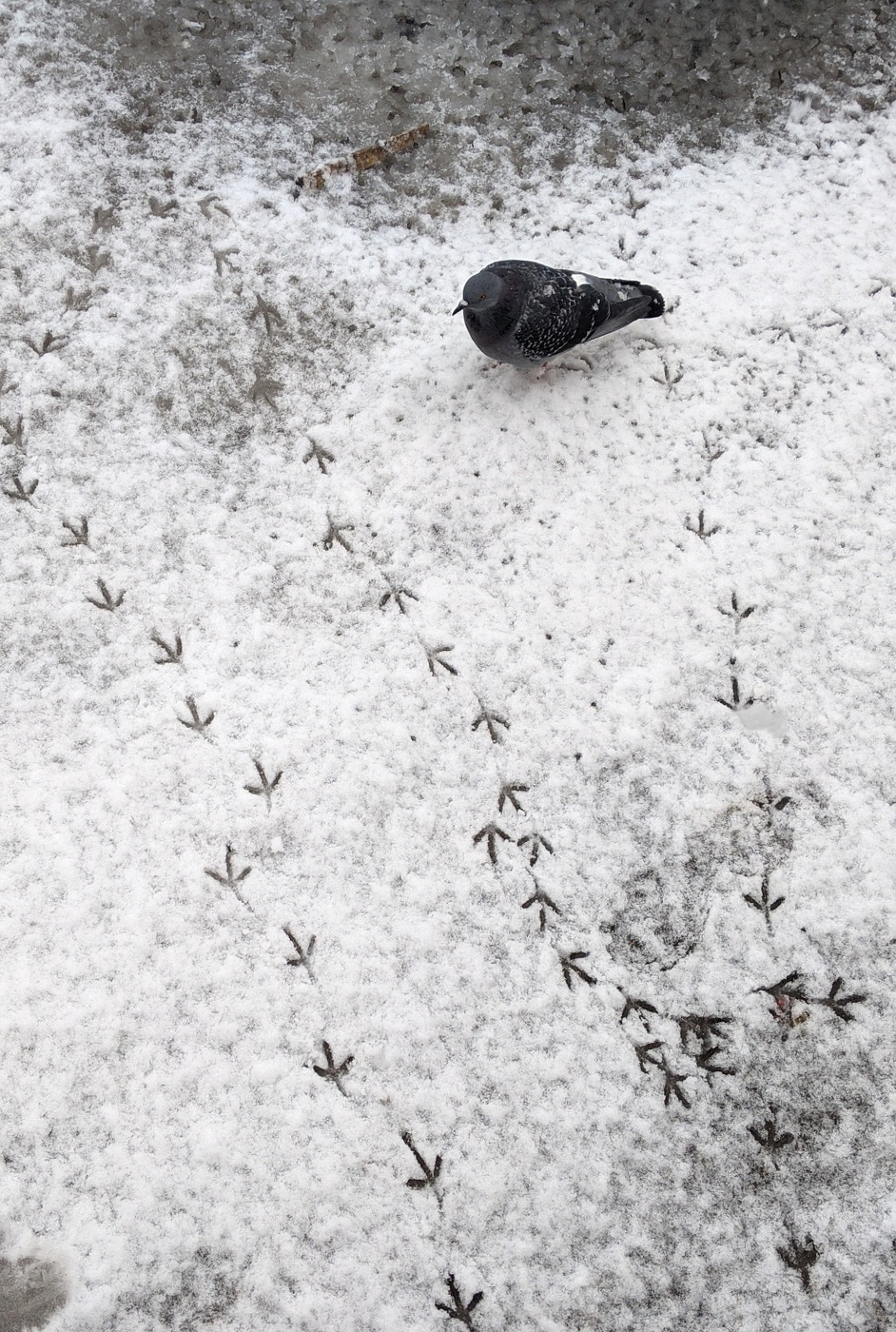 Реальность