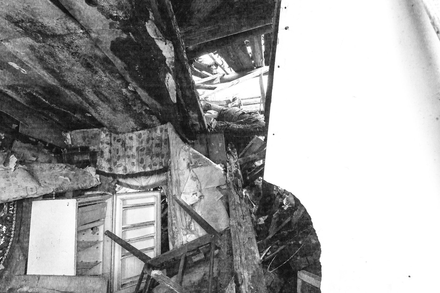 Жизнь вокруг