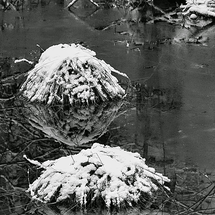 *Весеннее болото.**