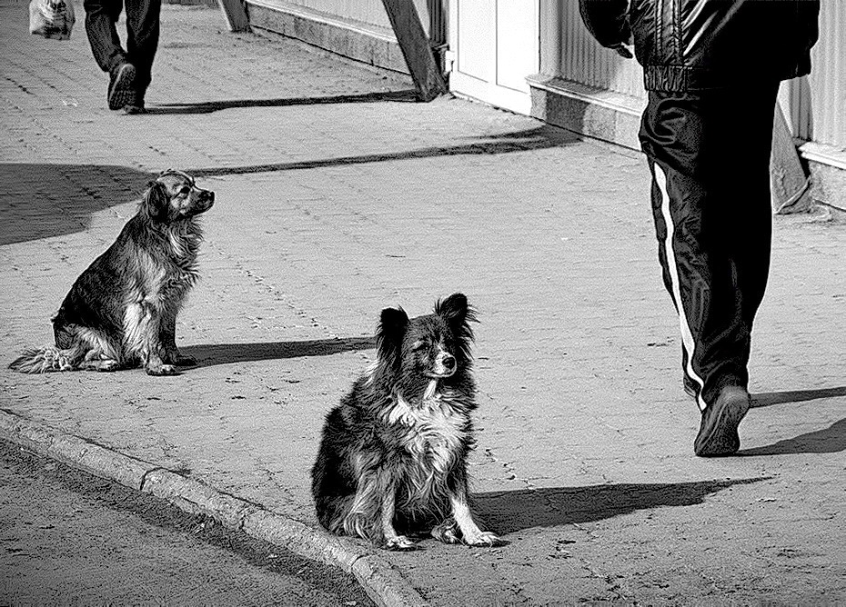 Проходящие мимо.