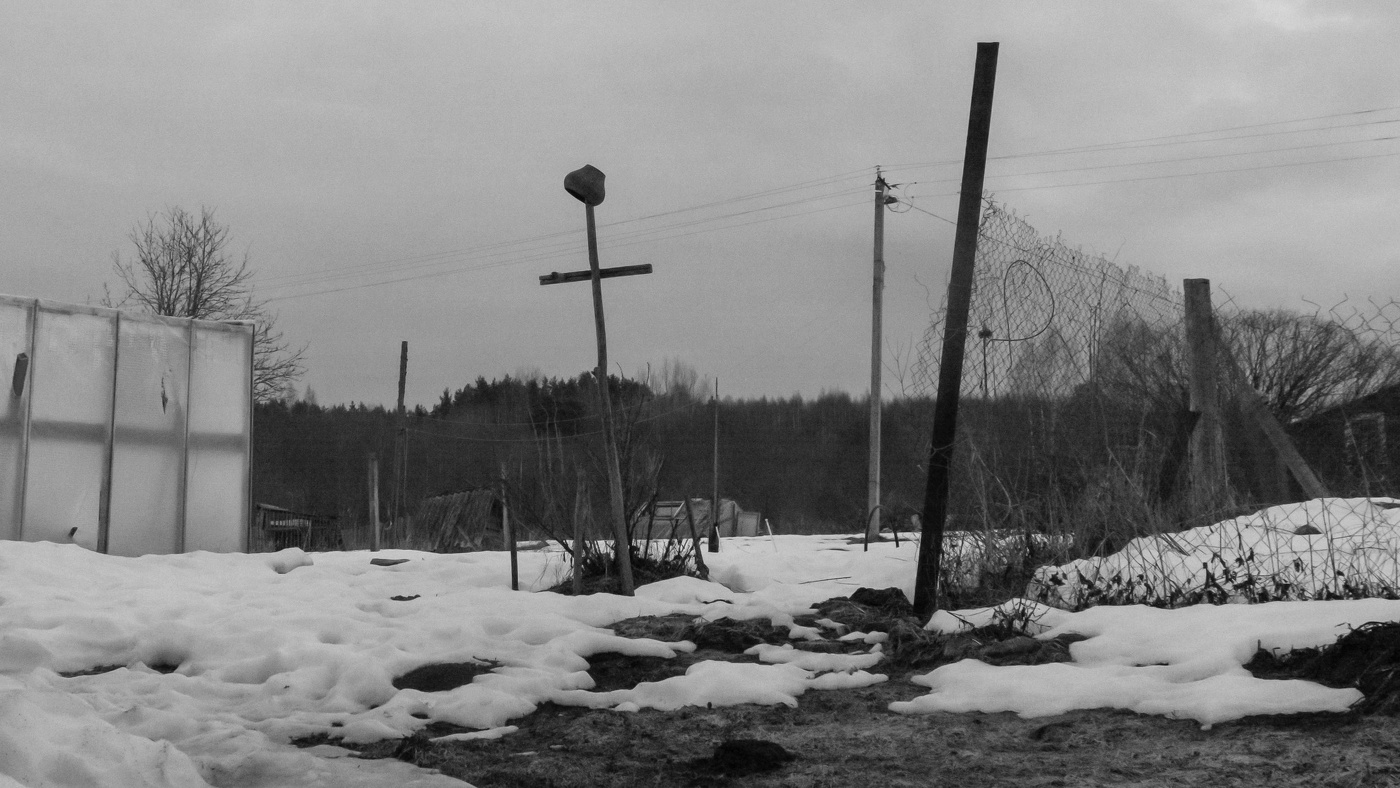 Жизнь вокруг