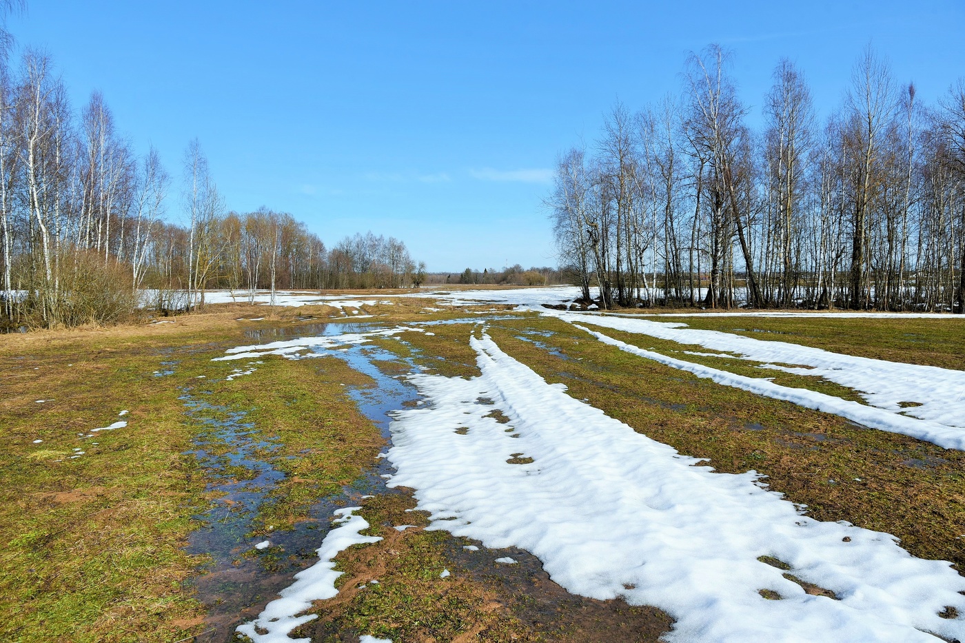 Вот и весна пришла ...