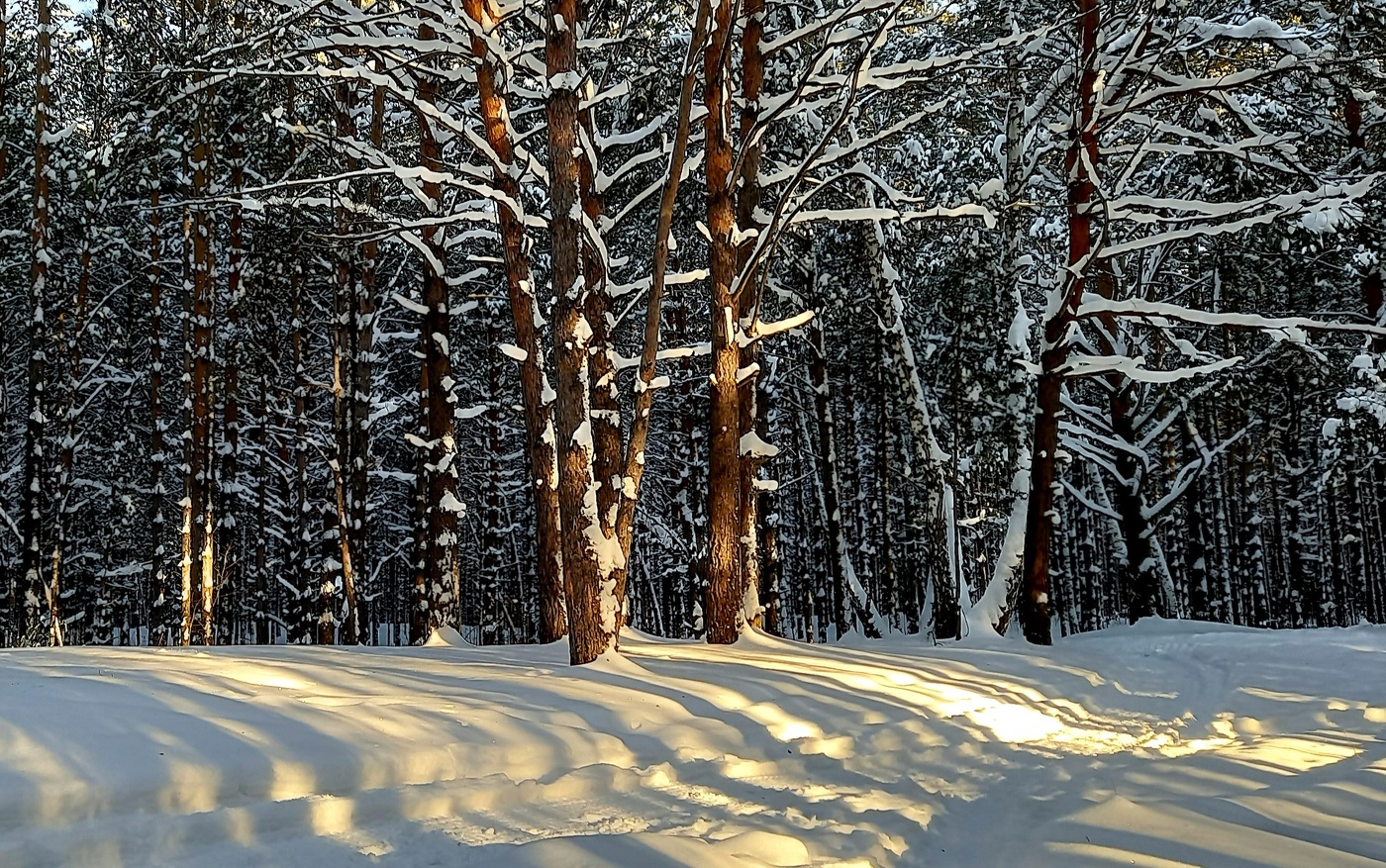 весенние лучи