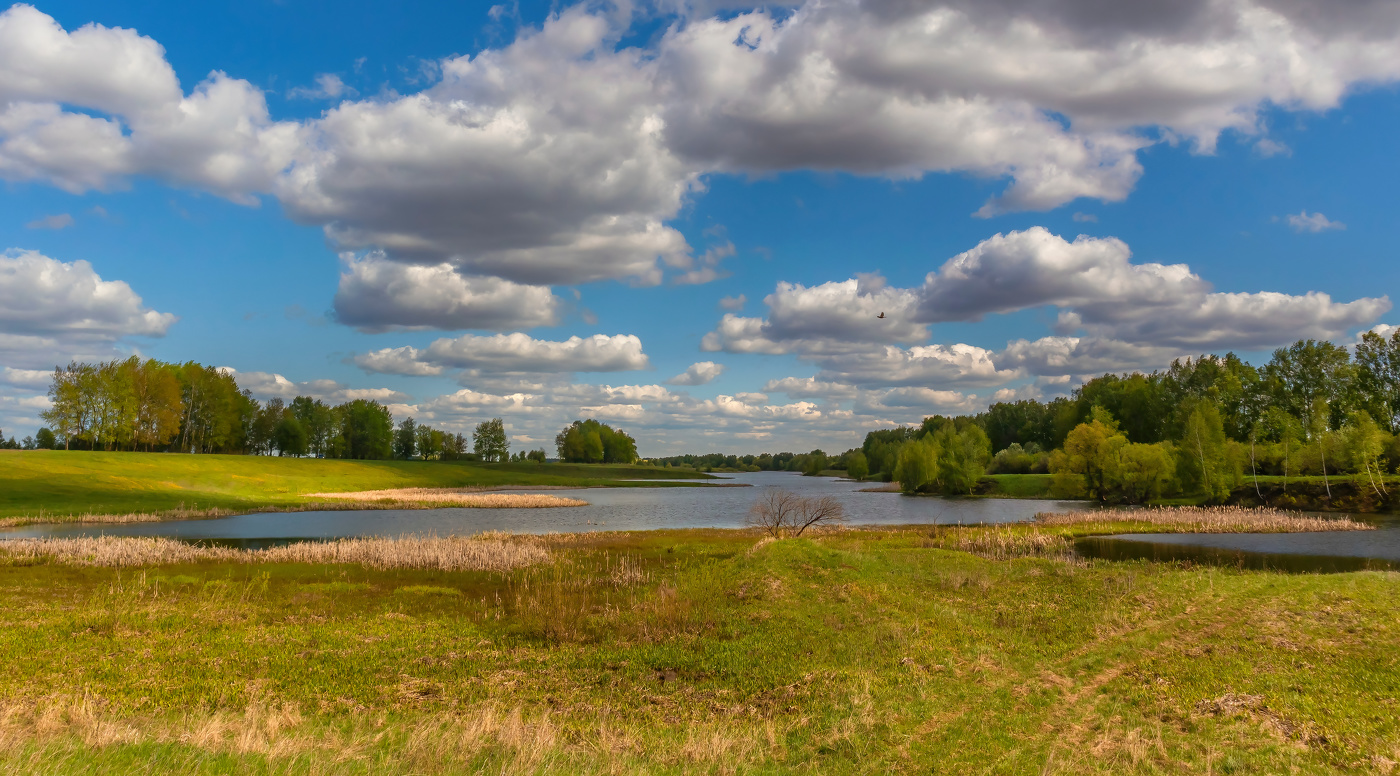 Уплывающие.