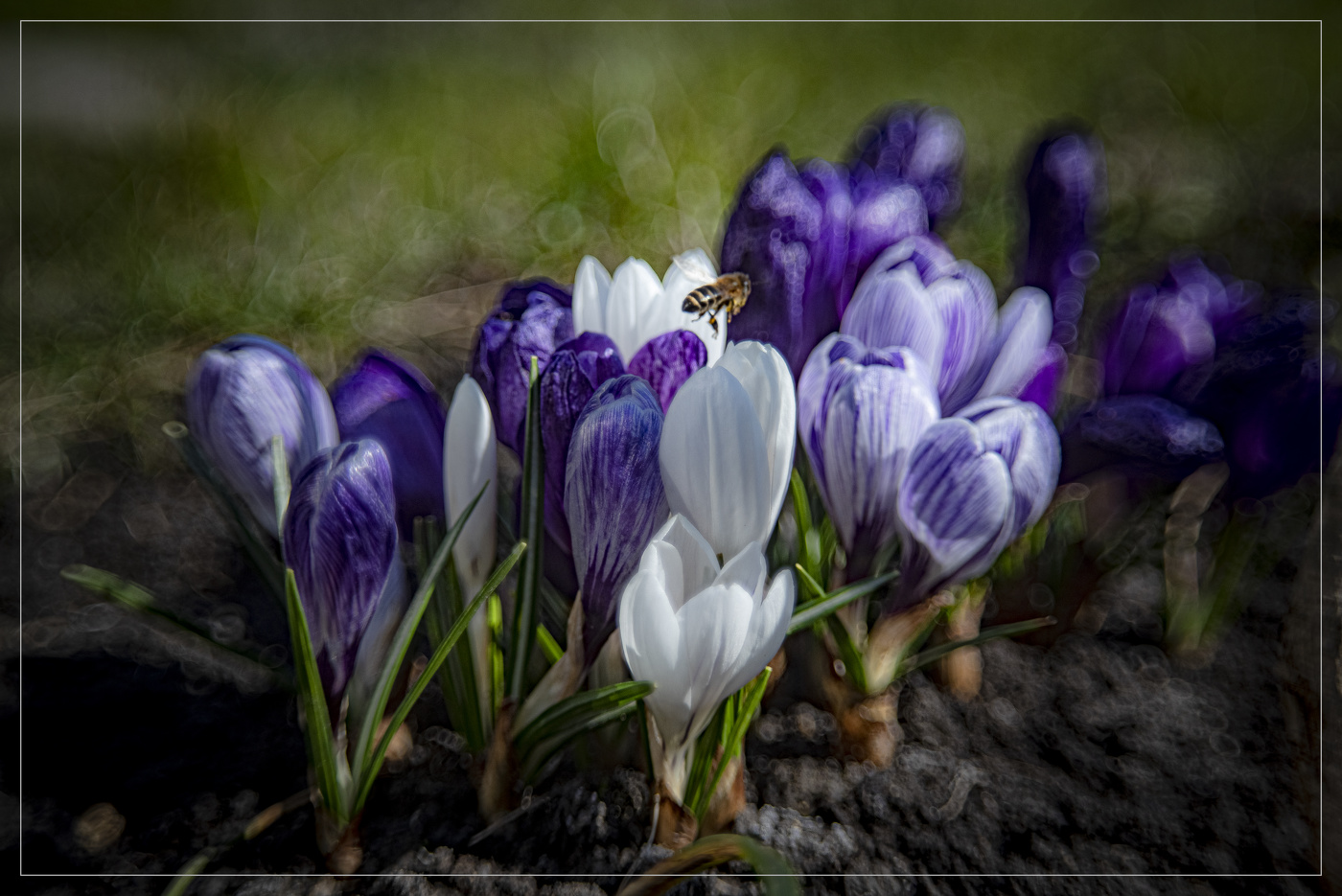 Весенний букет