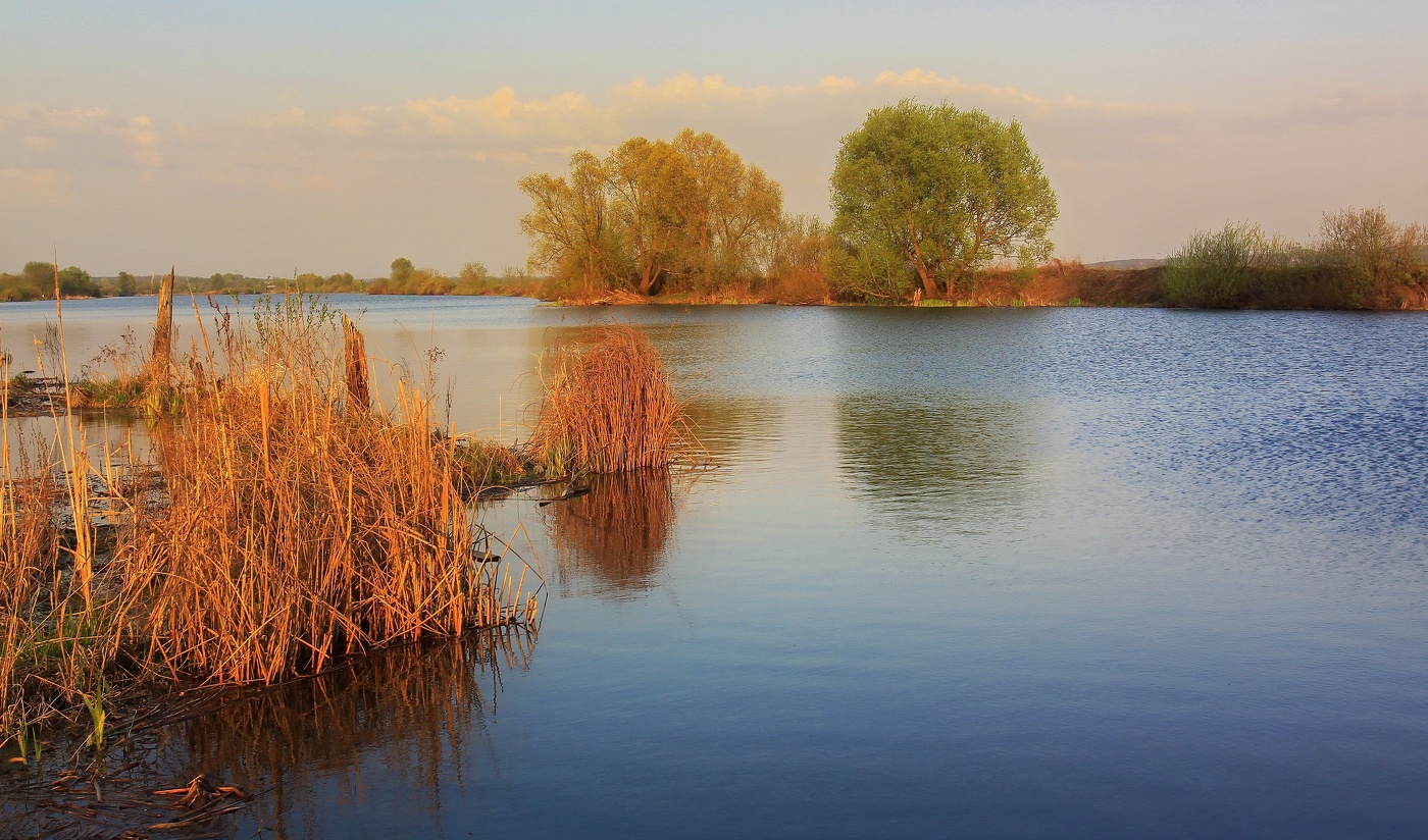 Прохладный вечер
