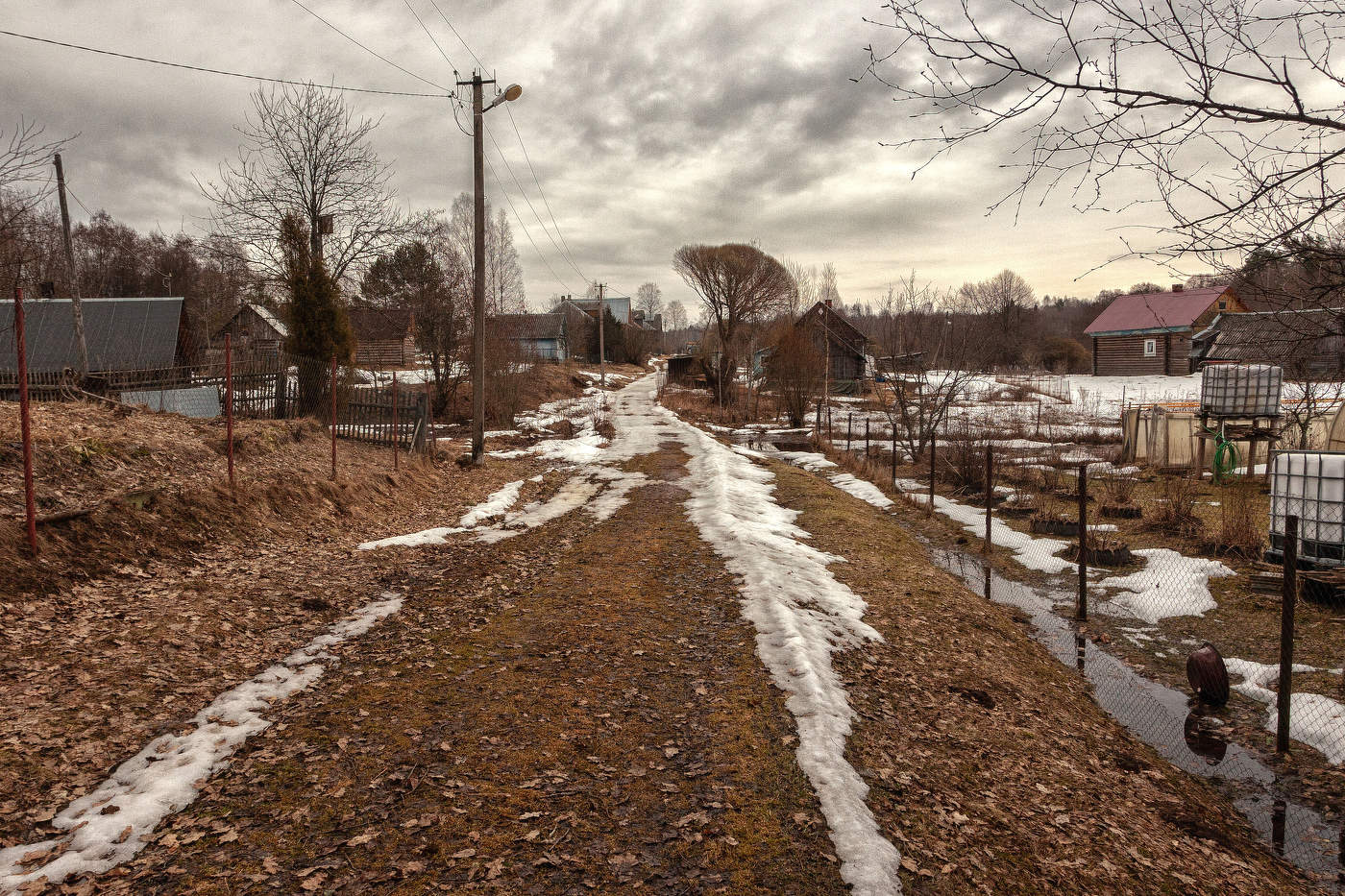 Жизнь вокруг