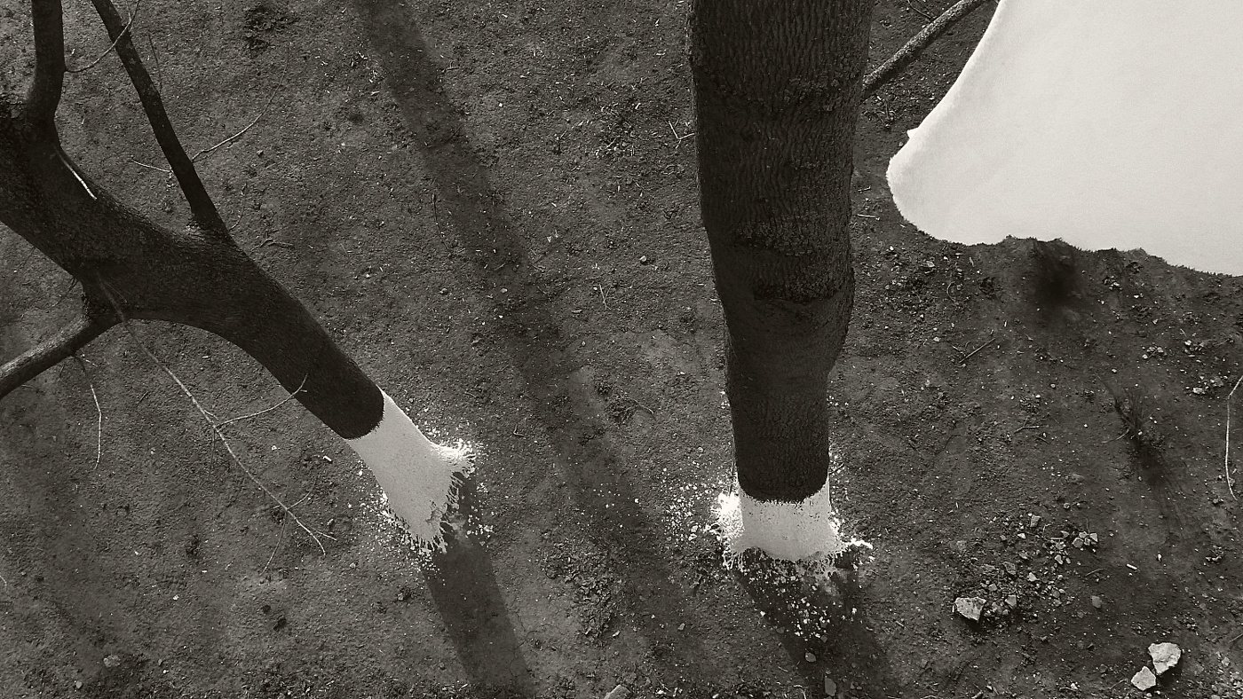 платьице и белые носочки