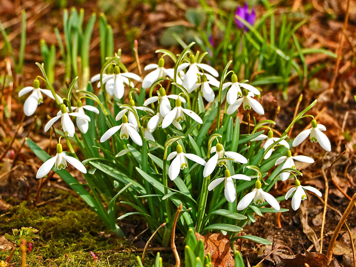 Весна пришла!