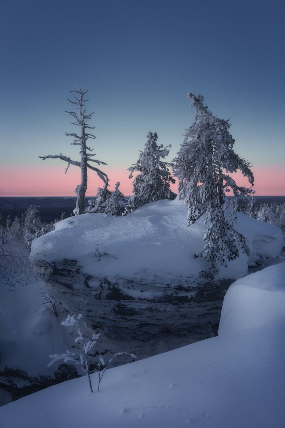 Уральские ёлочки ч.2