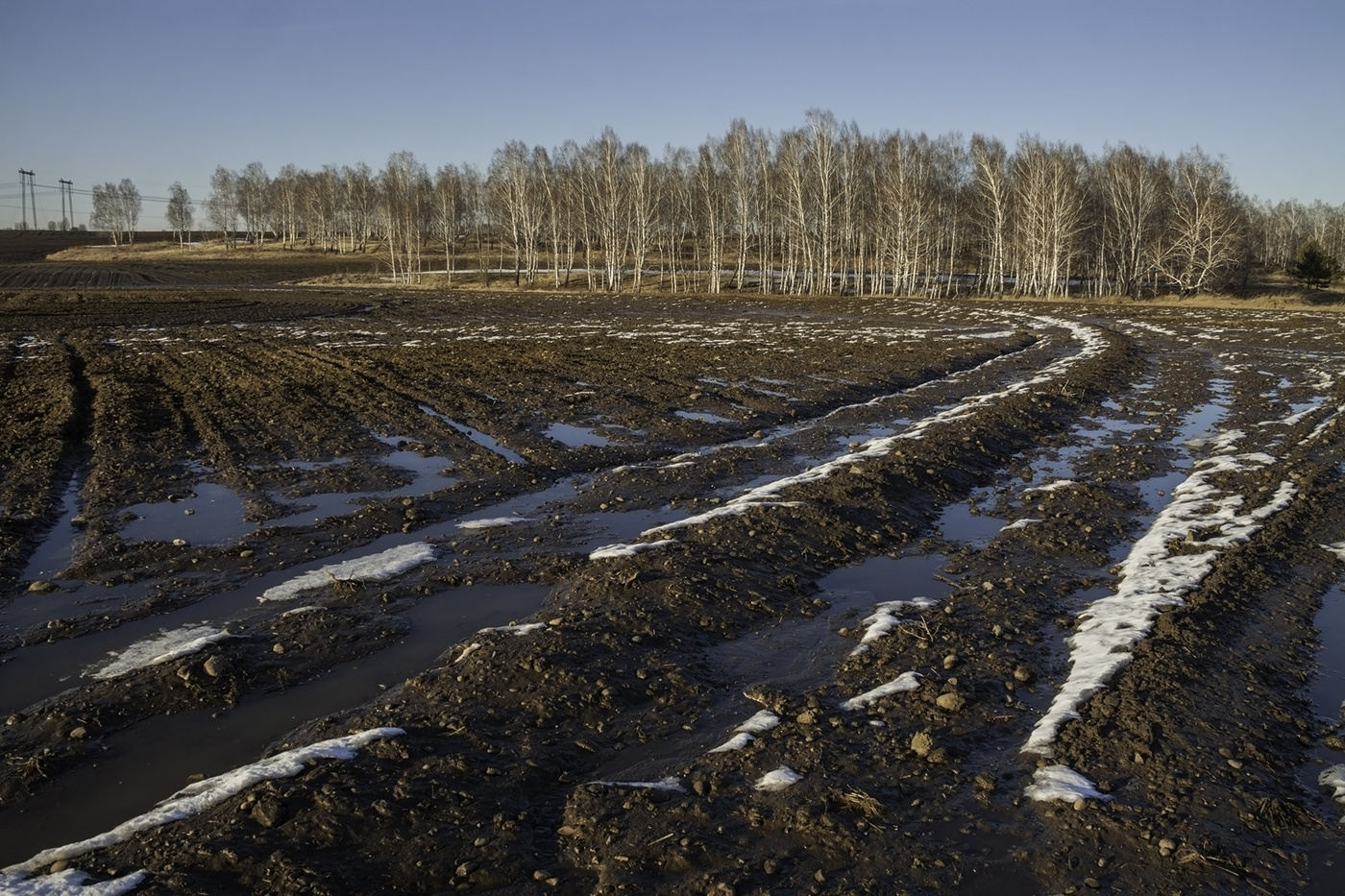 Земля просыпается