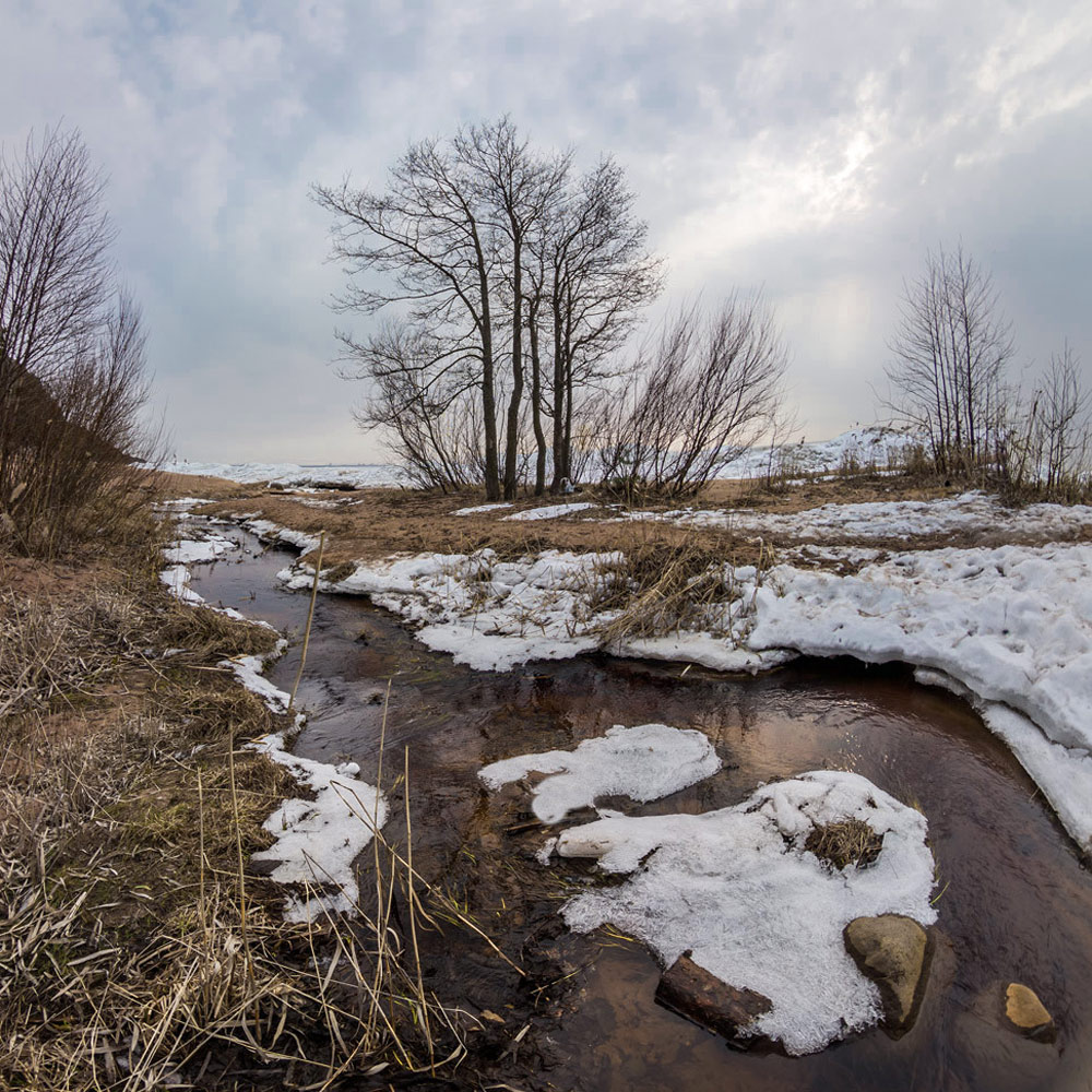 Ручьи весенние...