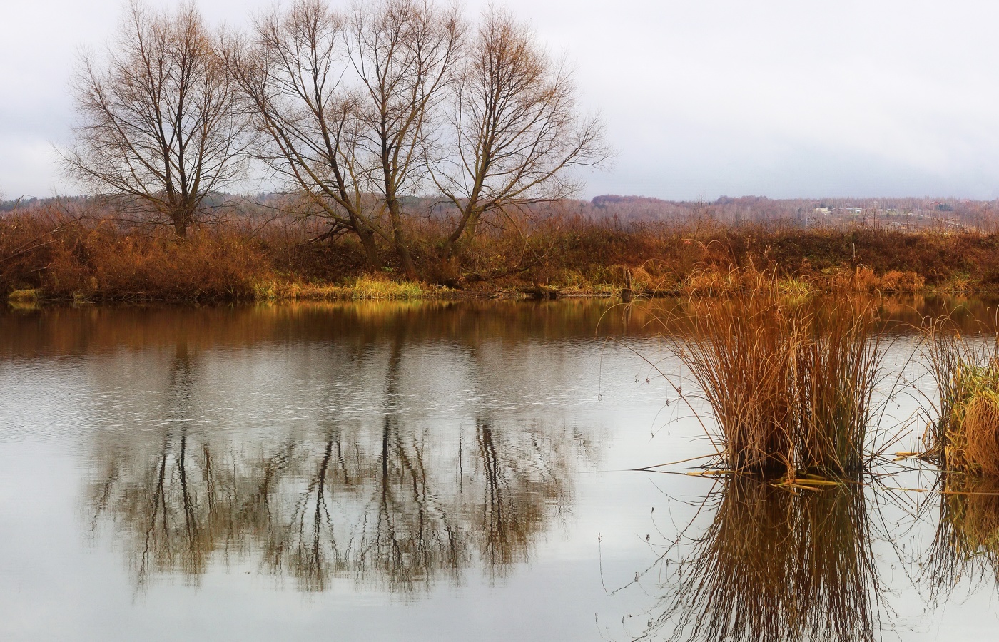 Весеннее безмолвие