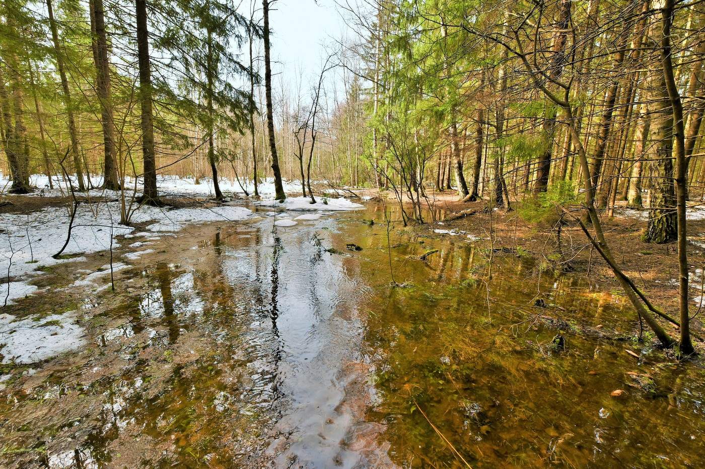 "Апрель - граница меж зимой и летом ..."