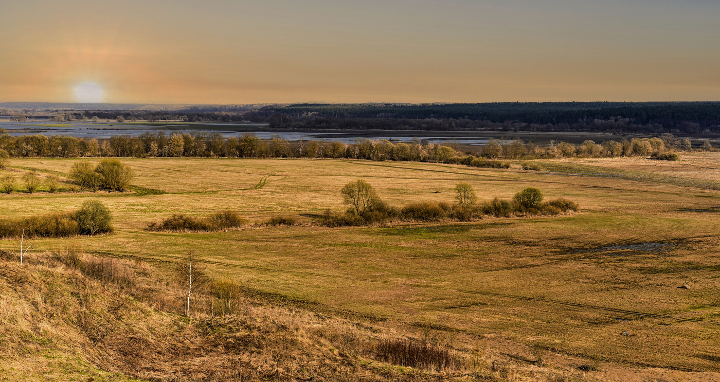 Пойма р. Жиздры.