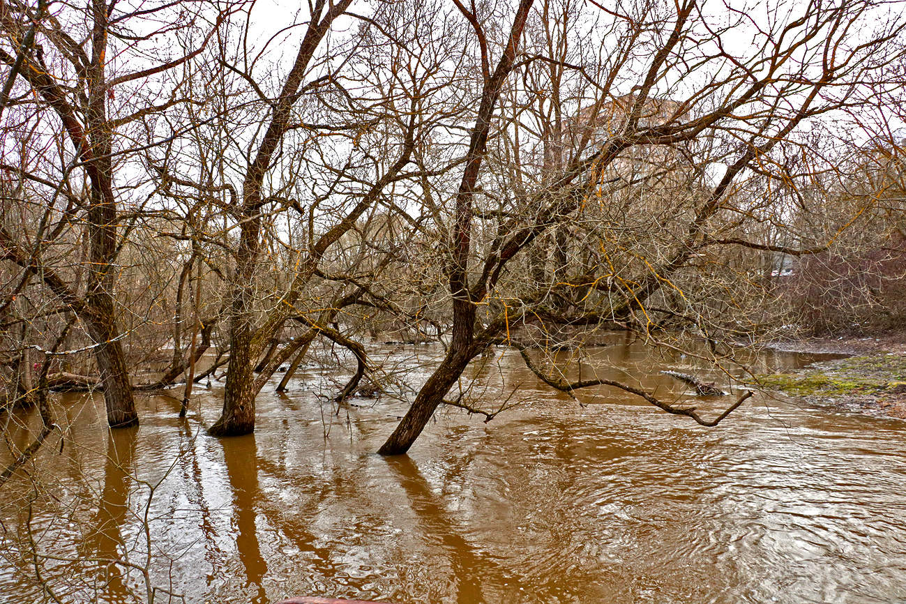 Весеннее половодье