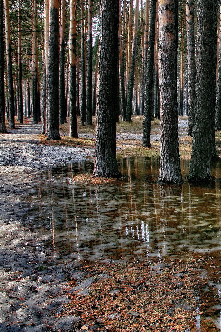 *Апрельским вечером.**