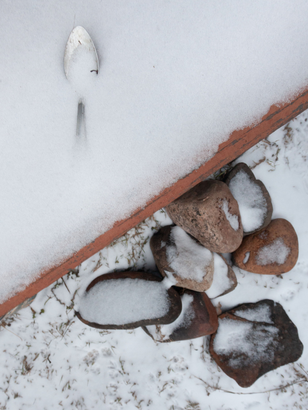 Жизнь вокруг