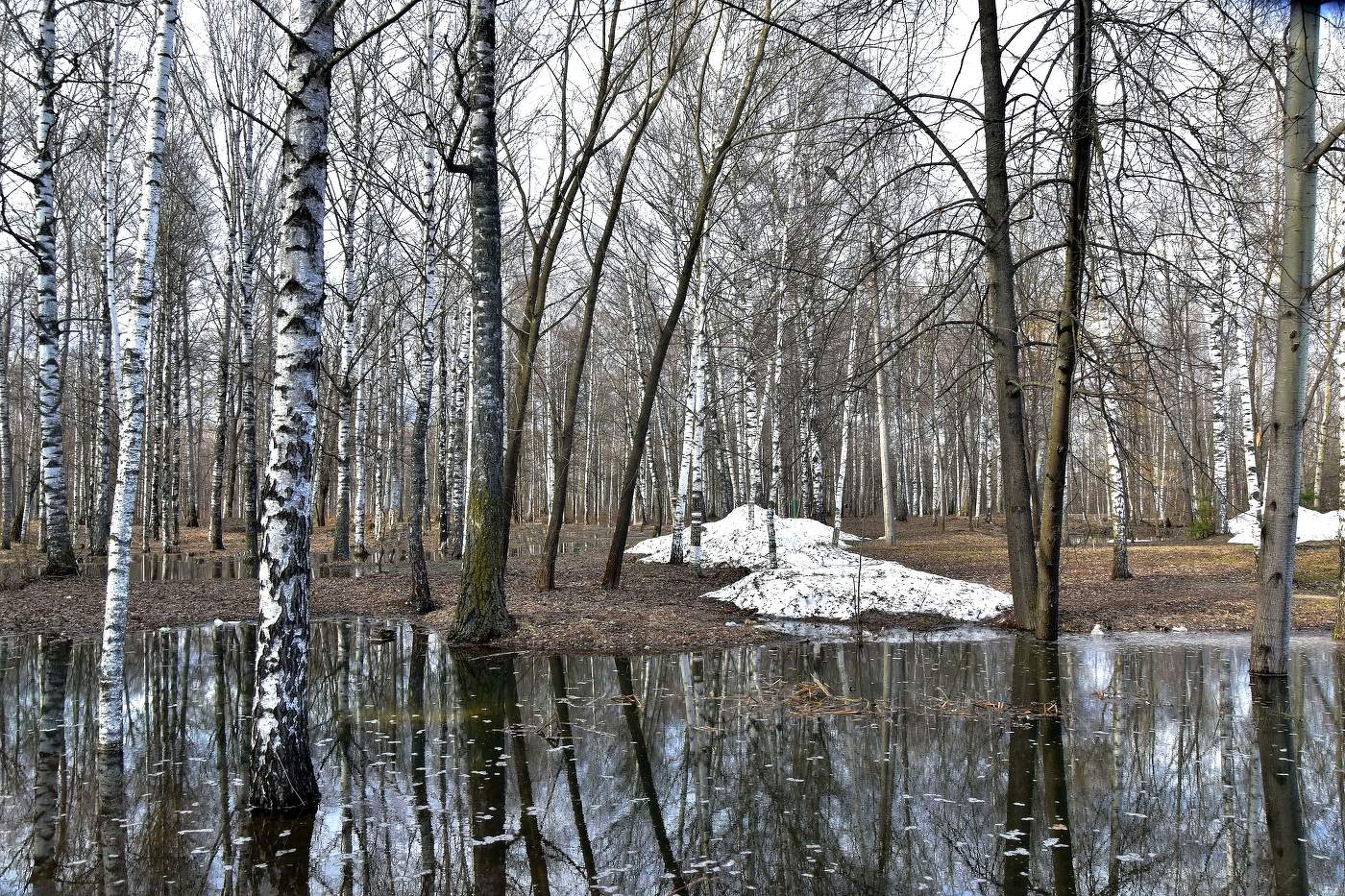 Остатки зимы...