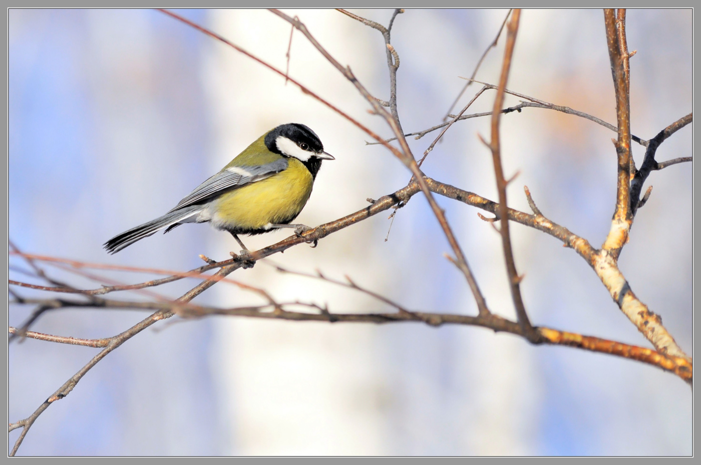 Вот и весна