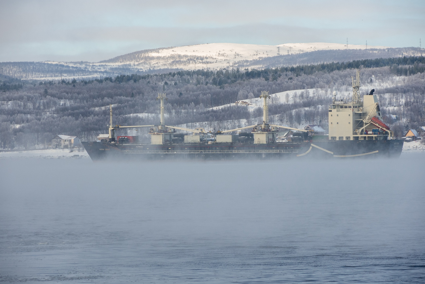 в морозном тумане