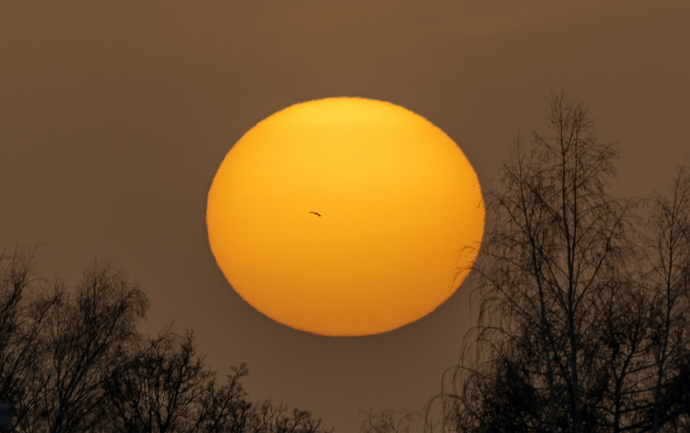 нежный закат