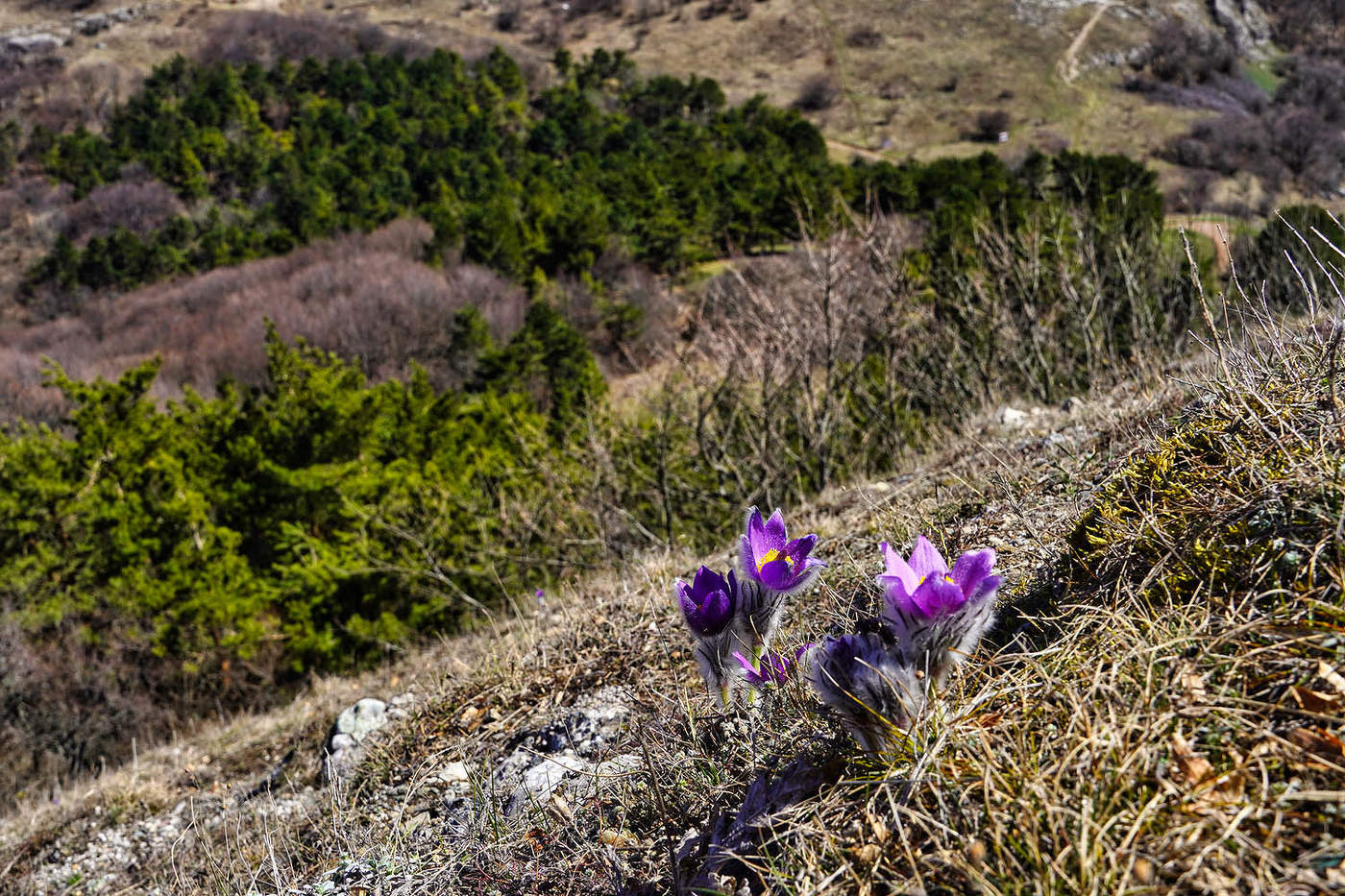 На склонах Пакхал-Кая