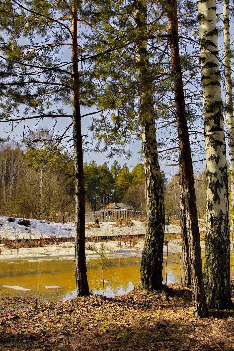 *Весенним днём.**