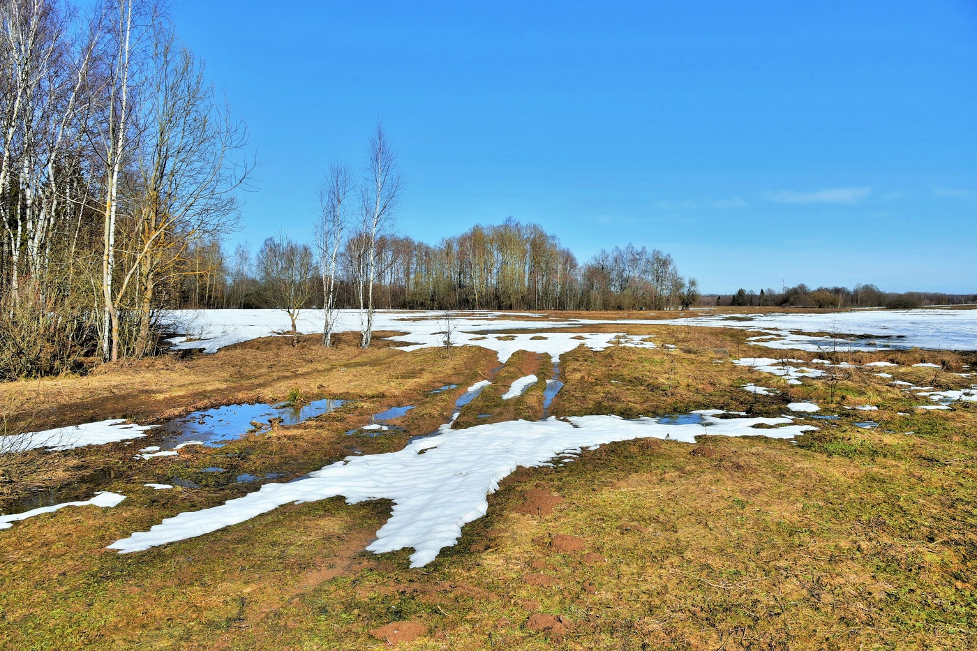 "Еще в полях белеет снег ..."