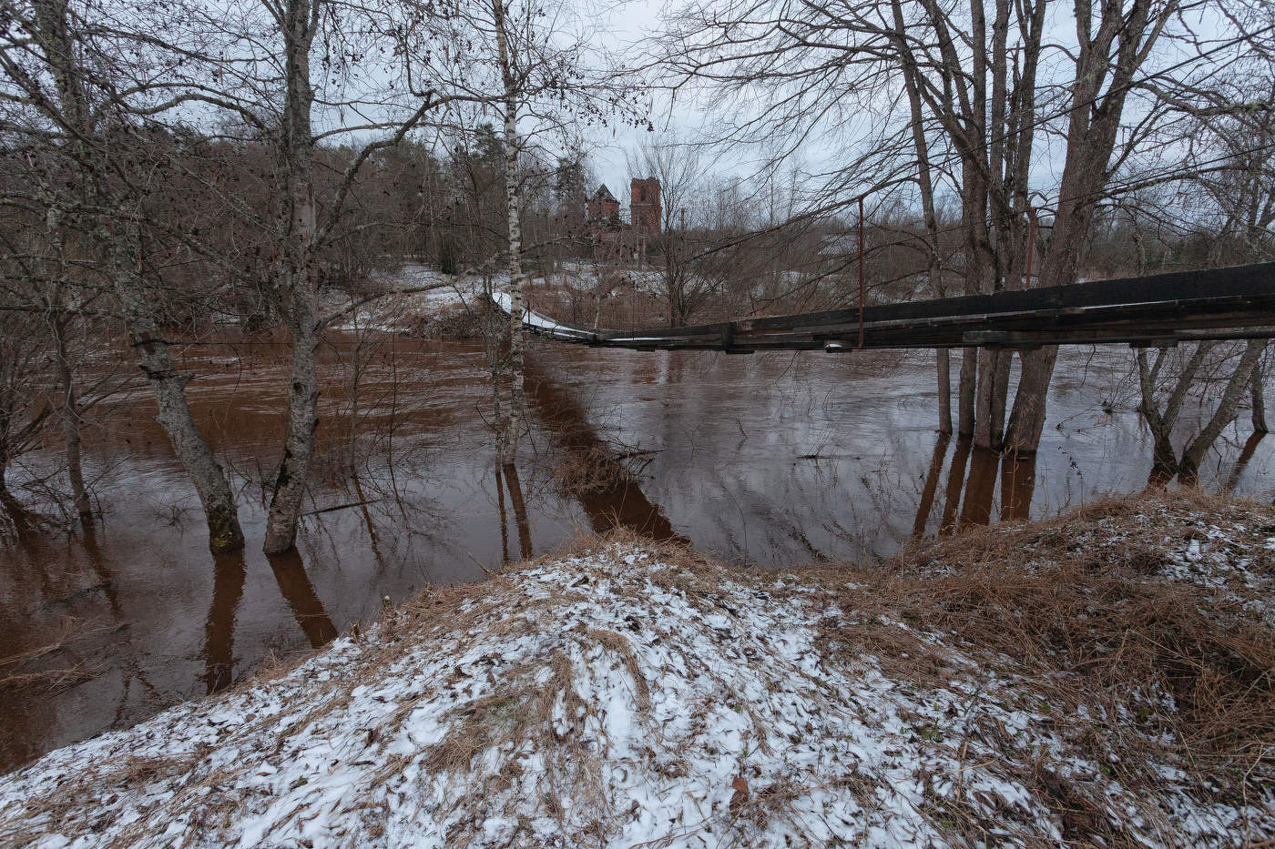 Жизнь вокруг