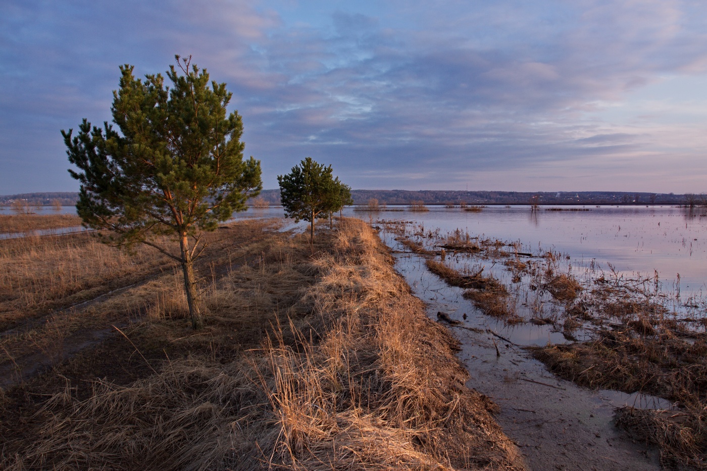 Весенний пригород
