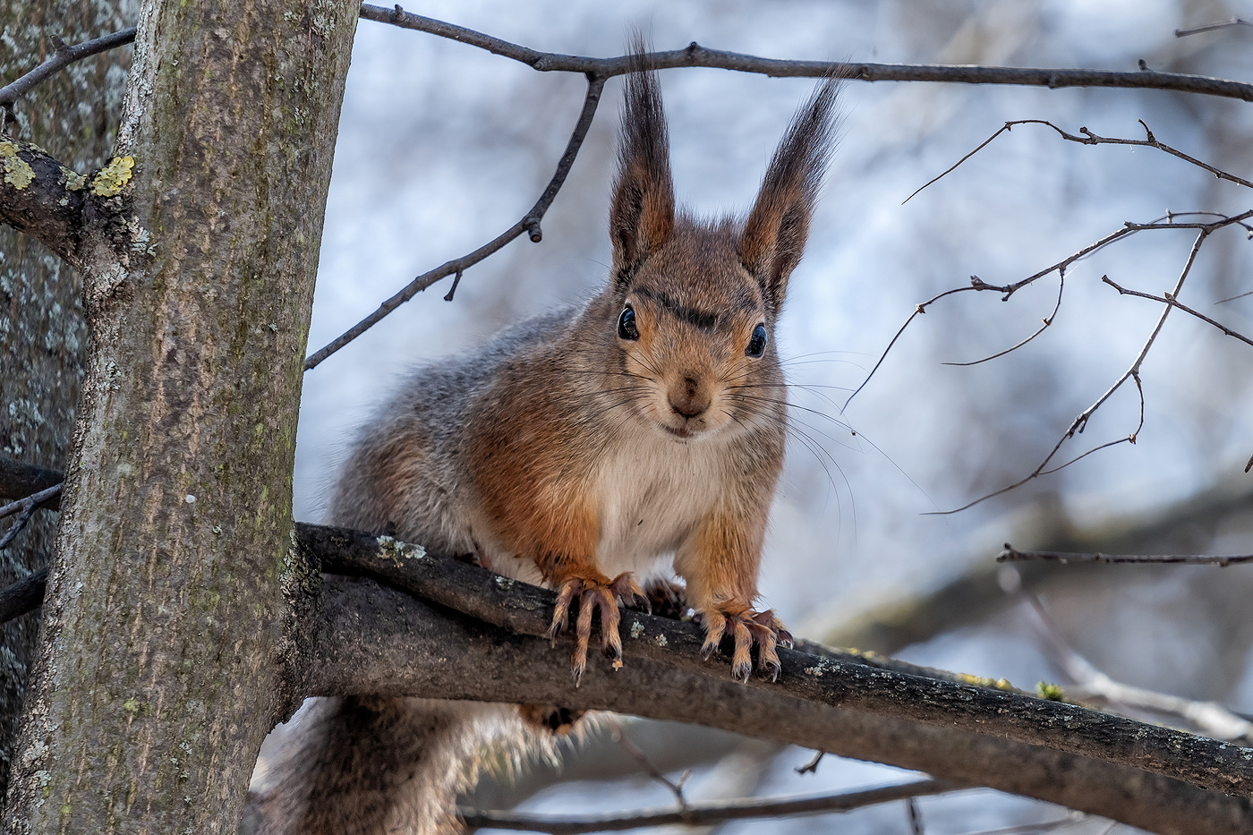 Ой! Кто тут?!