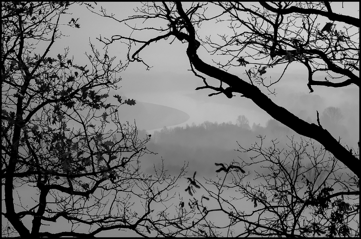 Утро туманное