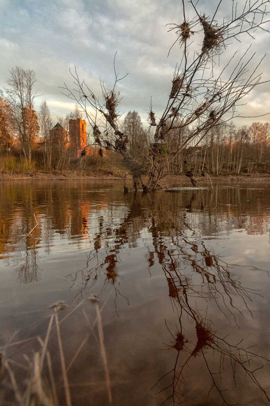 Жизнь вокруг