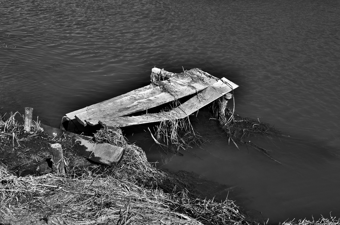 Старость ... Последняя весна ...