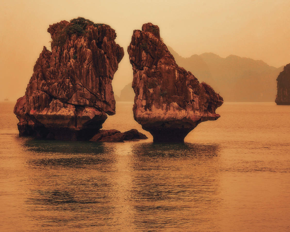 Романтичные медвежата