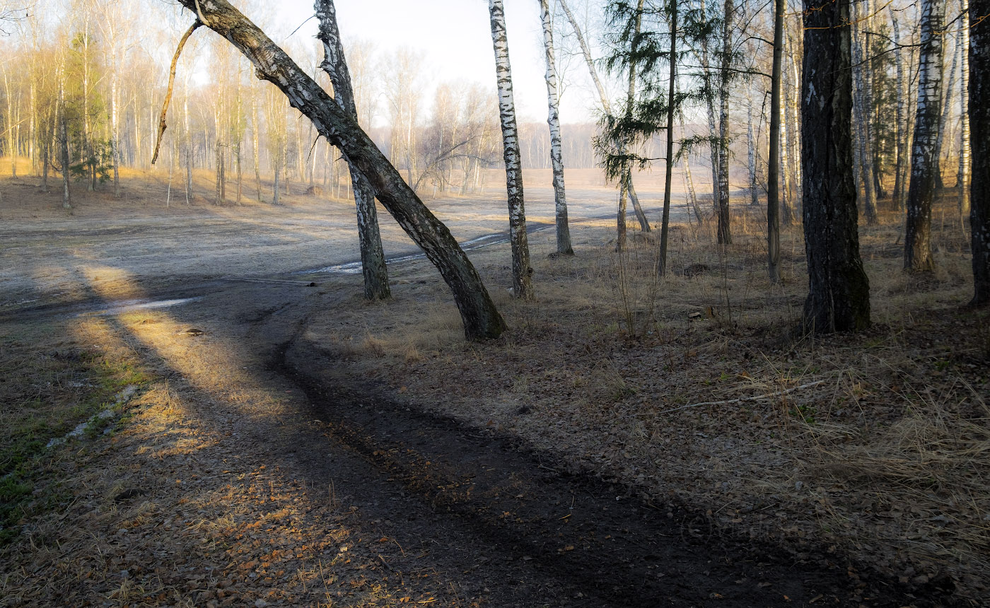 Весенним утром